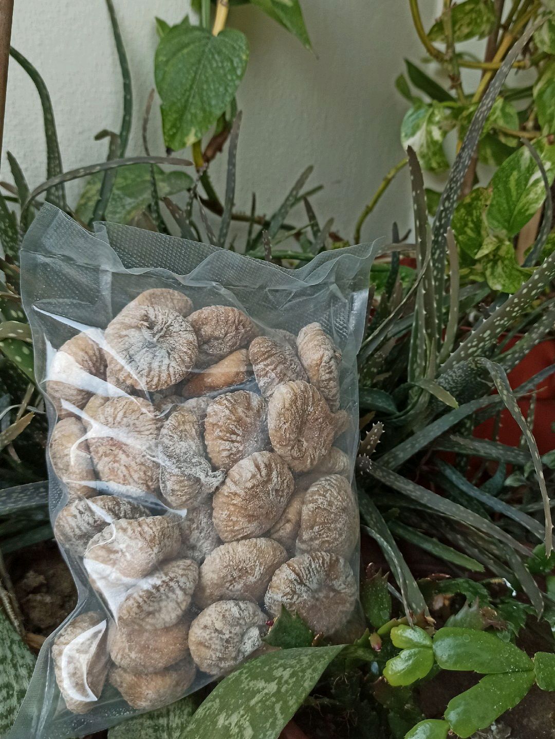 orta-boy-incir-1-kg