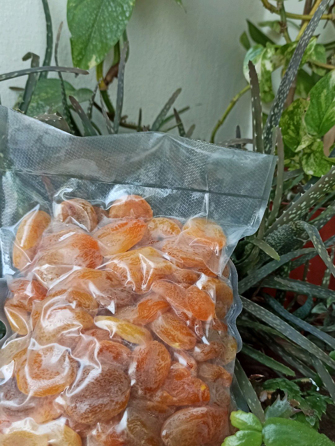 kuru-kayisi-1-kg