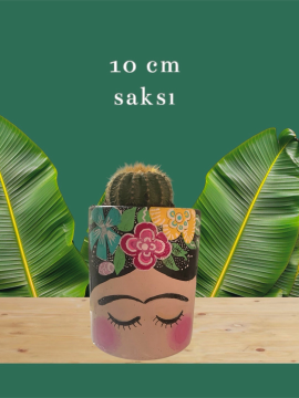 Frida Kahlo Desen Saksı Çok Renkli