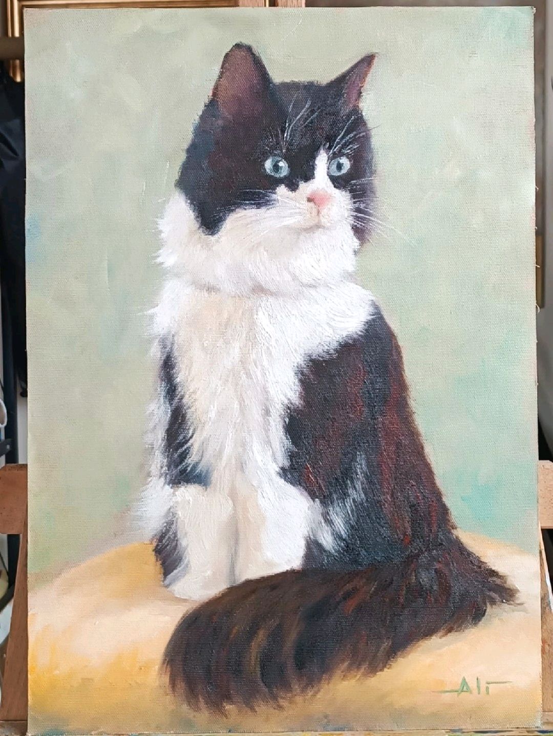 kedi-42x30-yagli-boya