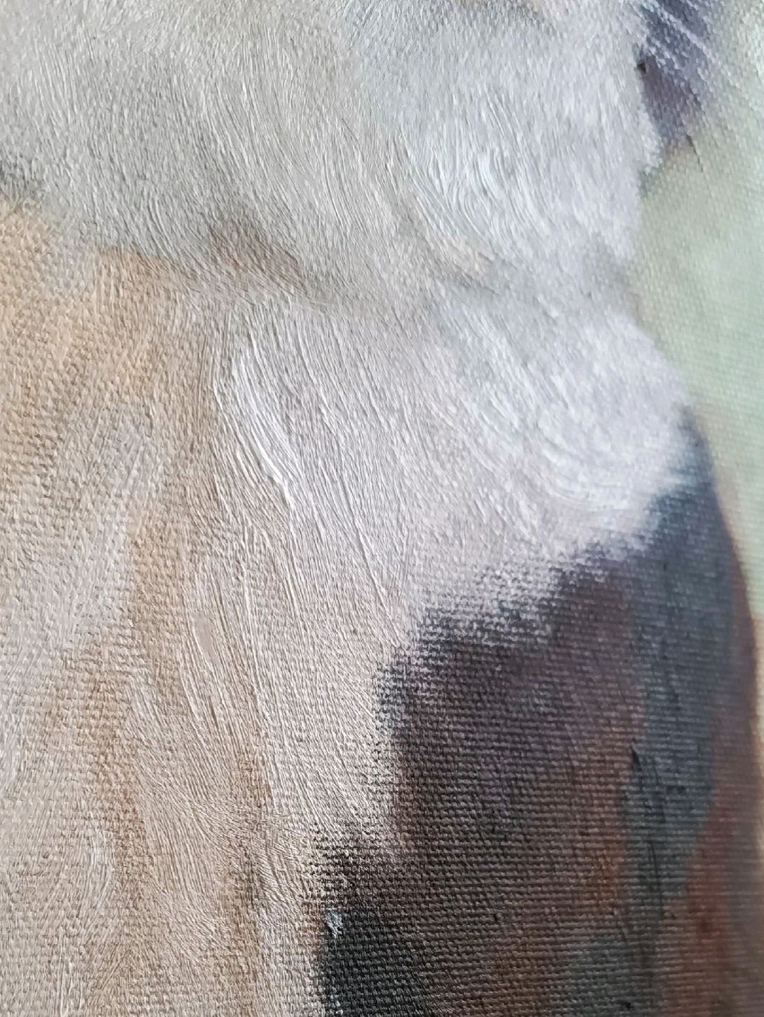 kedi-42x30-yagli-boya