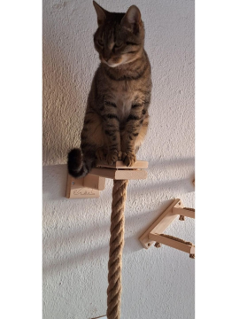 Kedi Tırmanma Halatı 1 Metre - 057