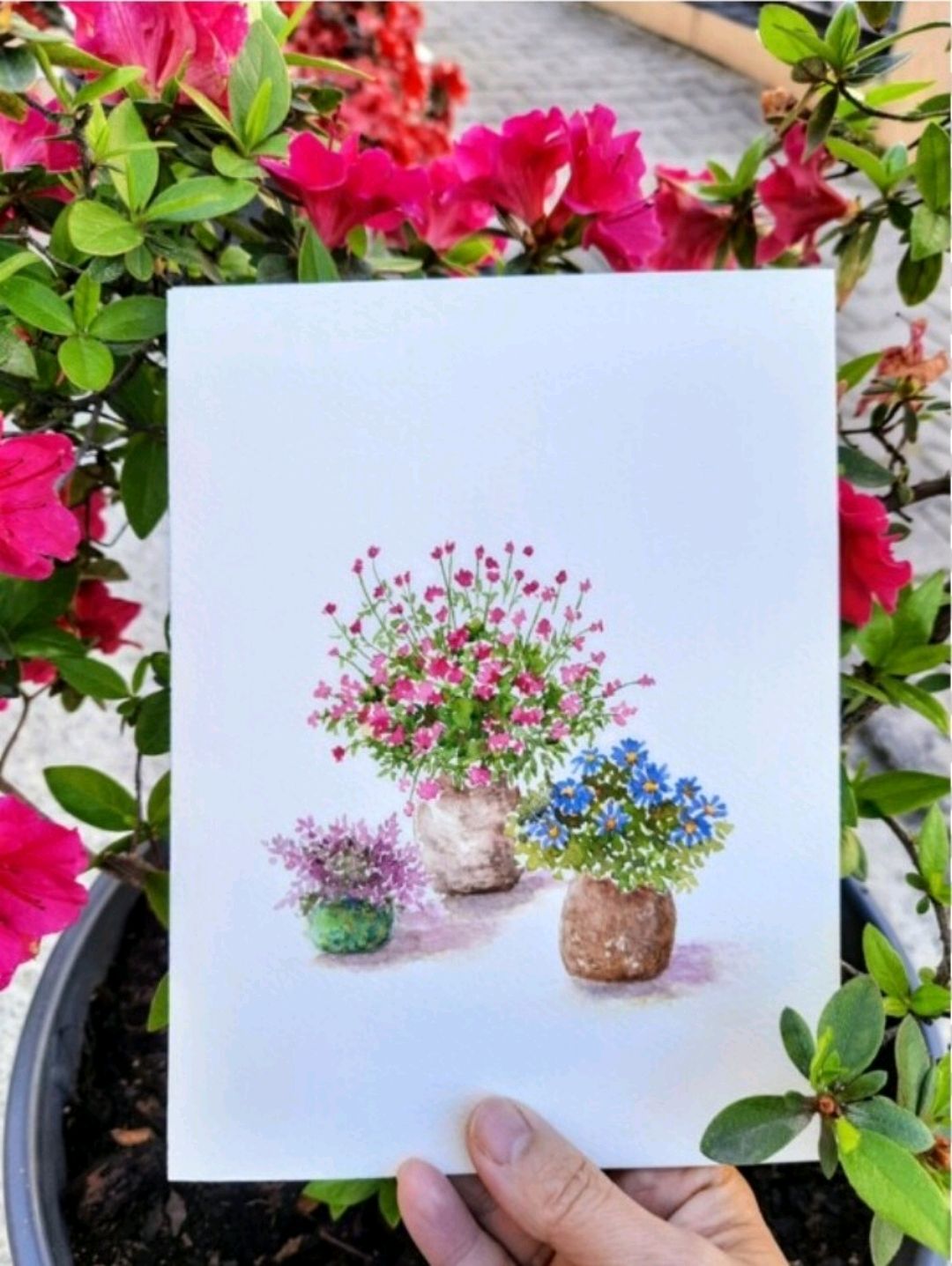 saksida-cicekler-pembe
