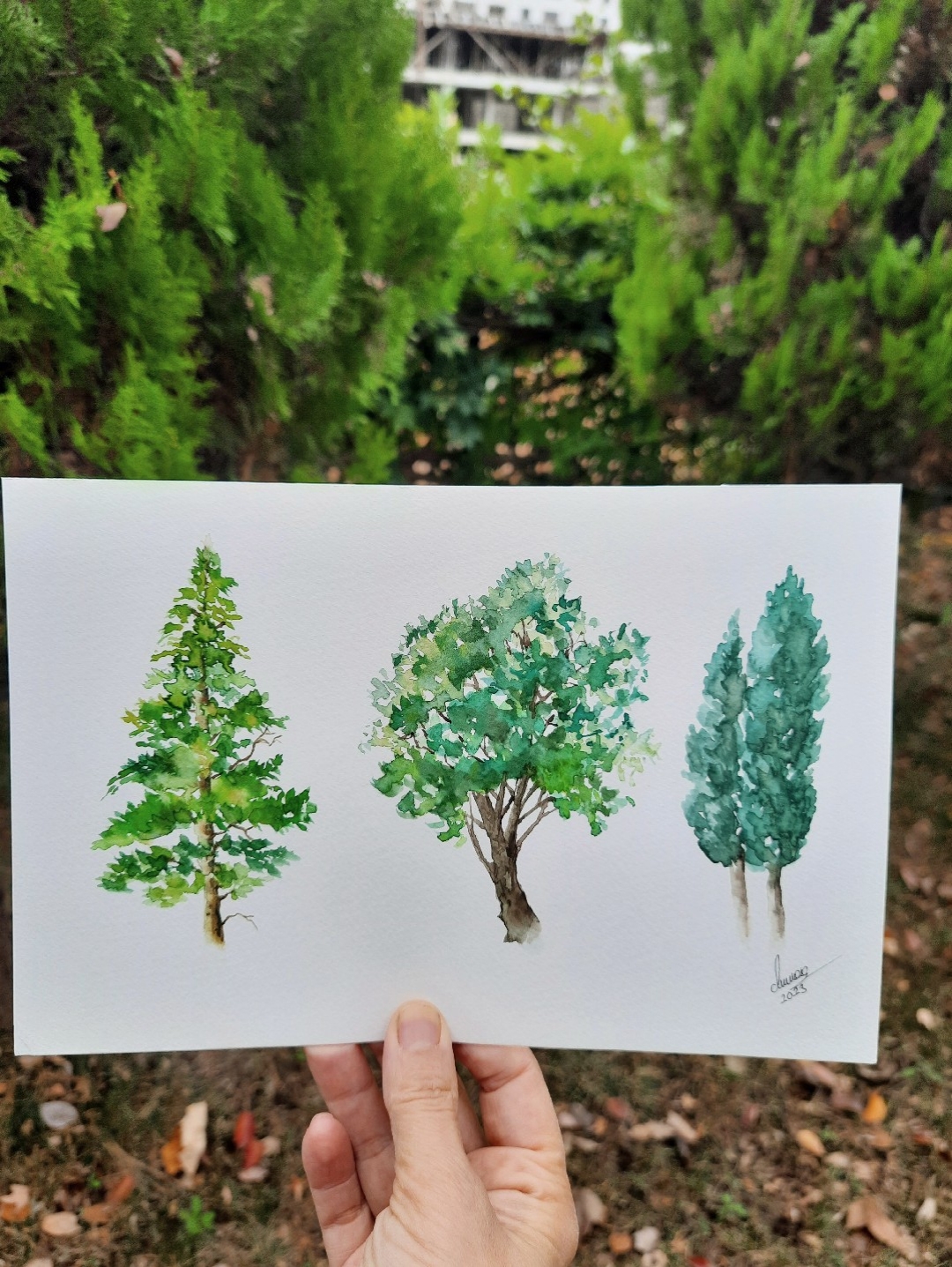 3-agac-yesil
