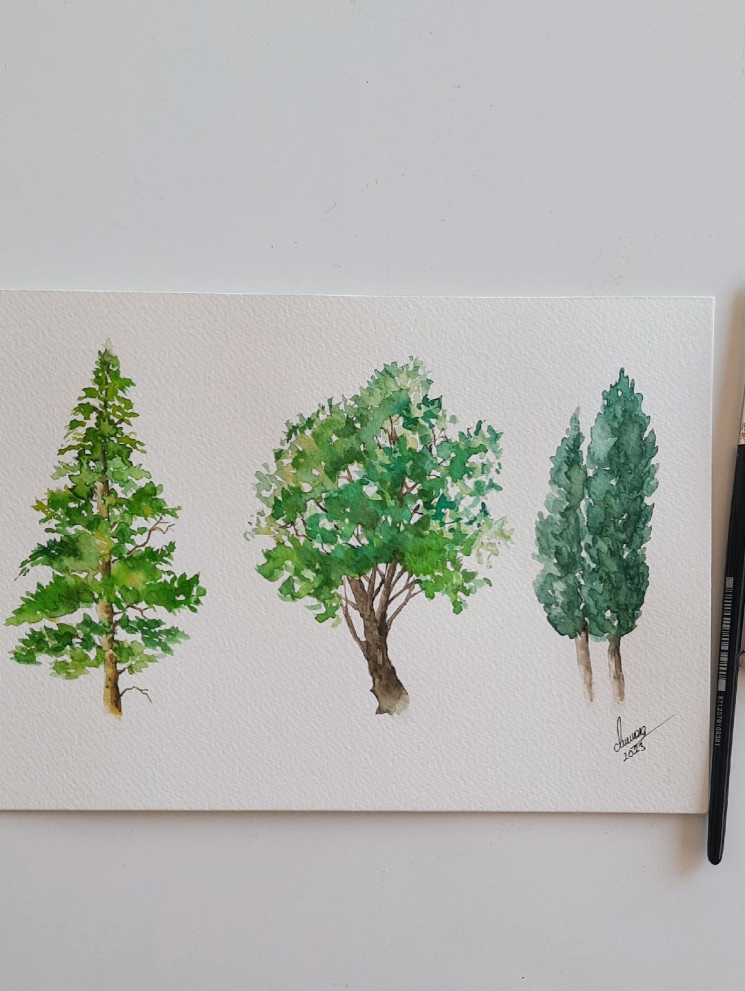 3-agac-yesil