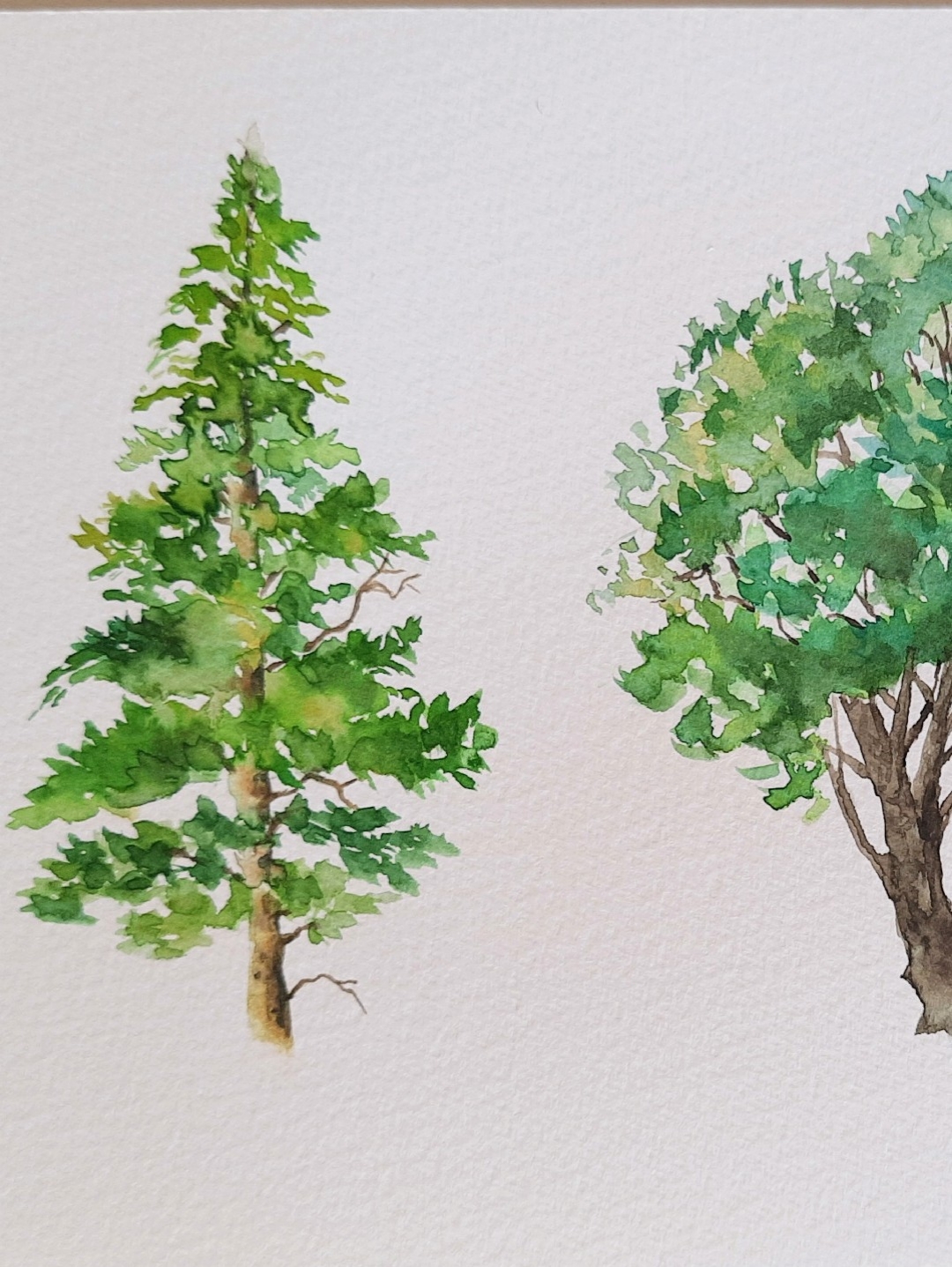 3-agac-yesil