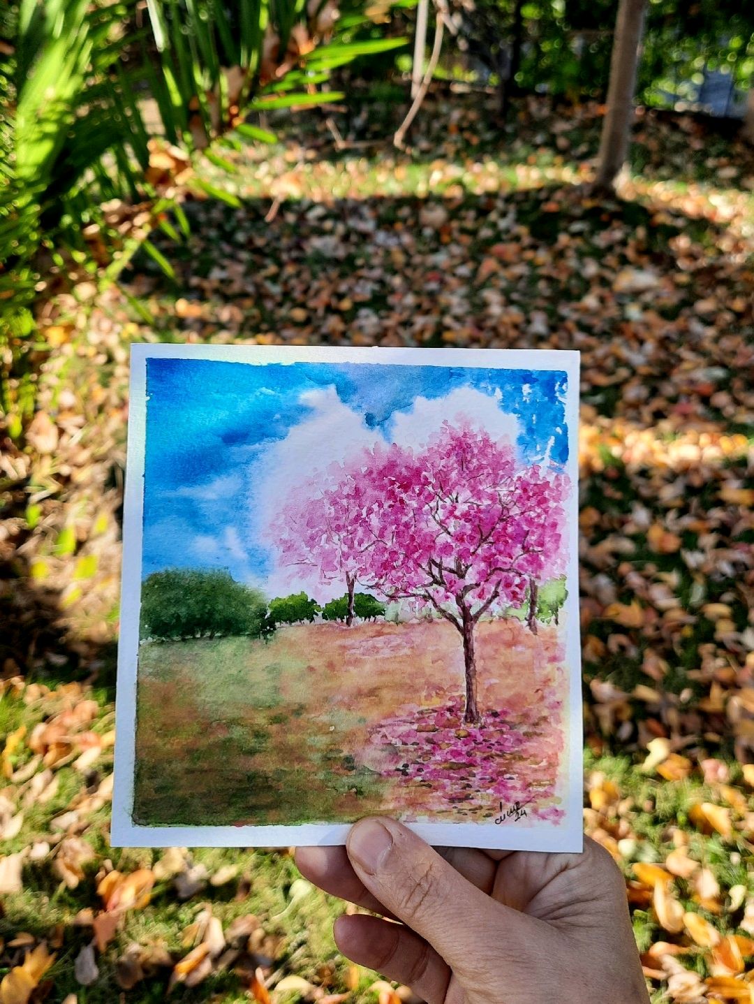 bahar-manzarasi-pembe
