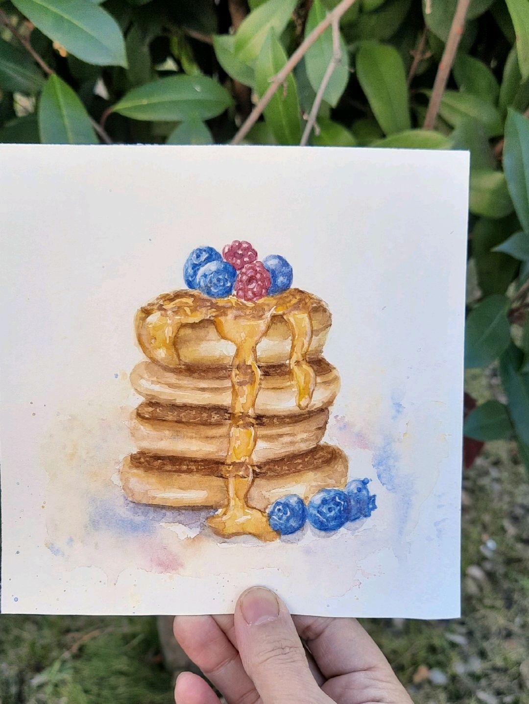 balli-pankek-cok-renkli