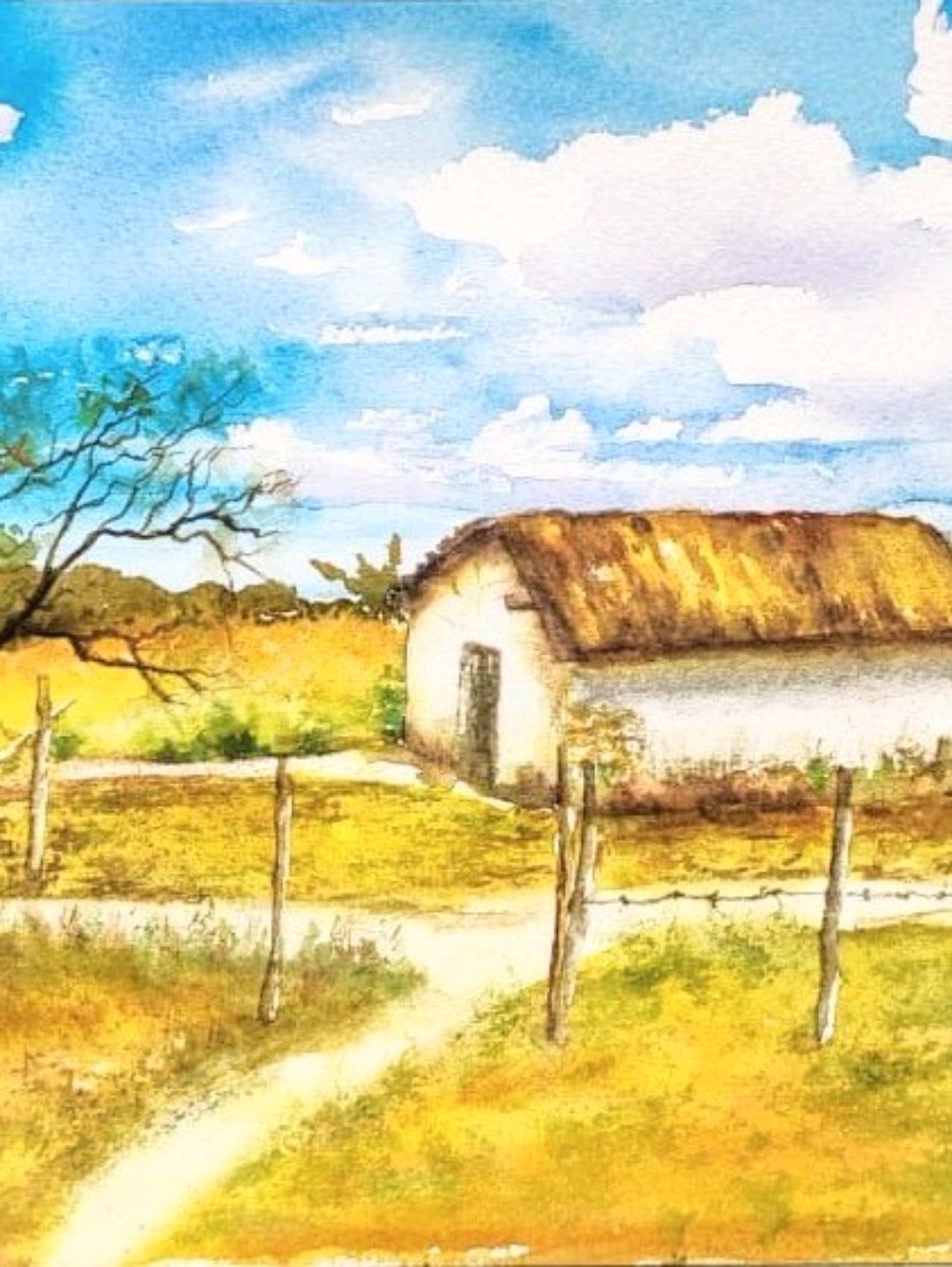 koy-evi-sari