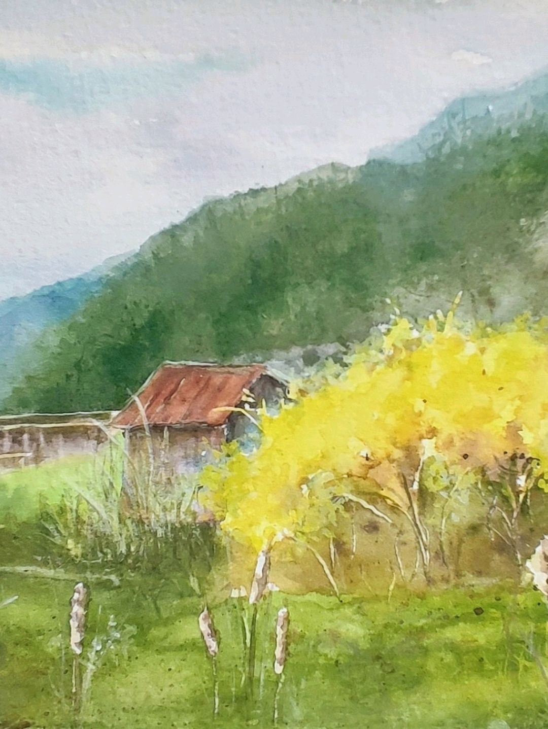 kirsal-manzara-yesil