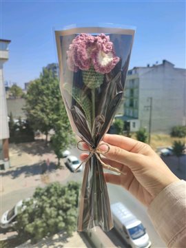 Örgü Karanfil  Eski Gül