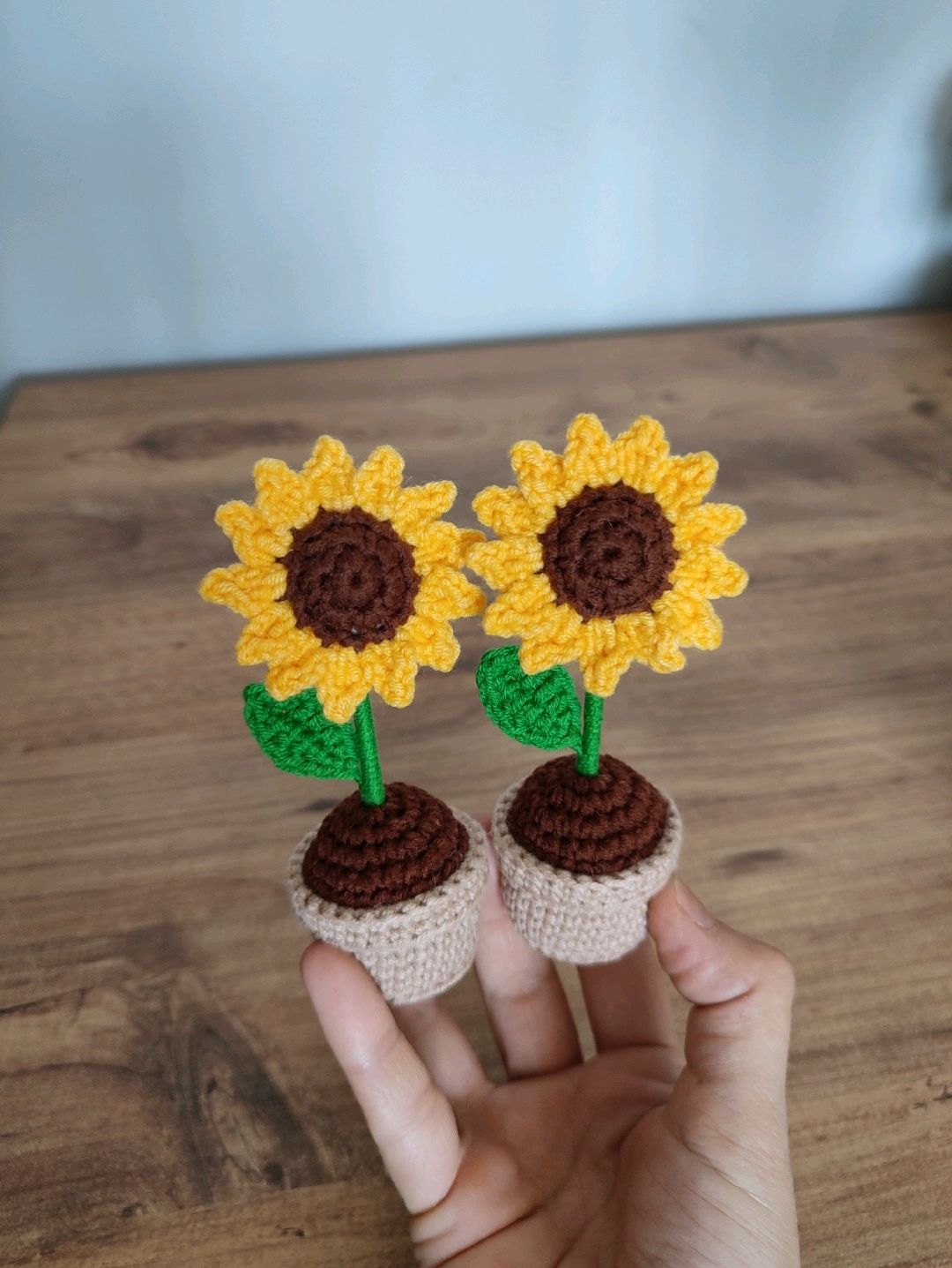 saksida-mini-aycicegi-sari