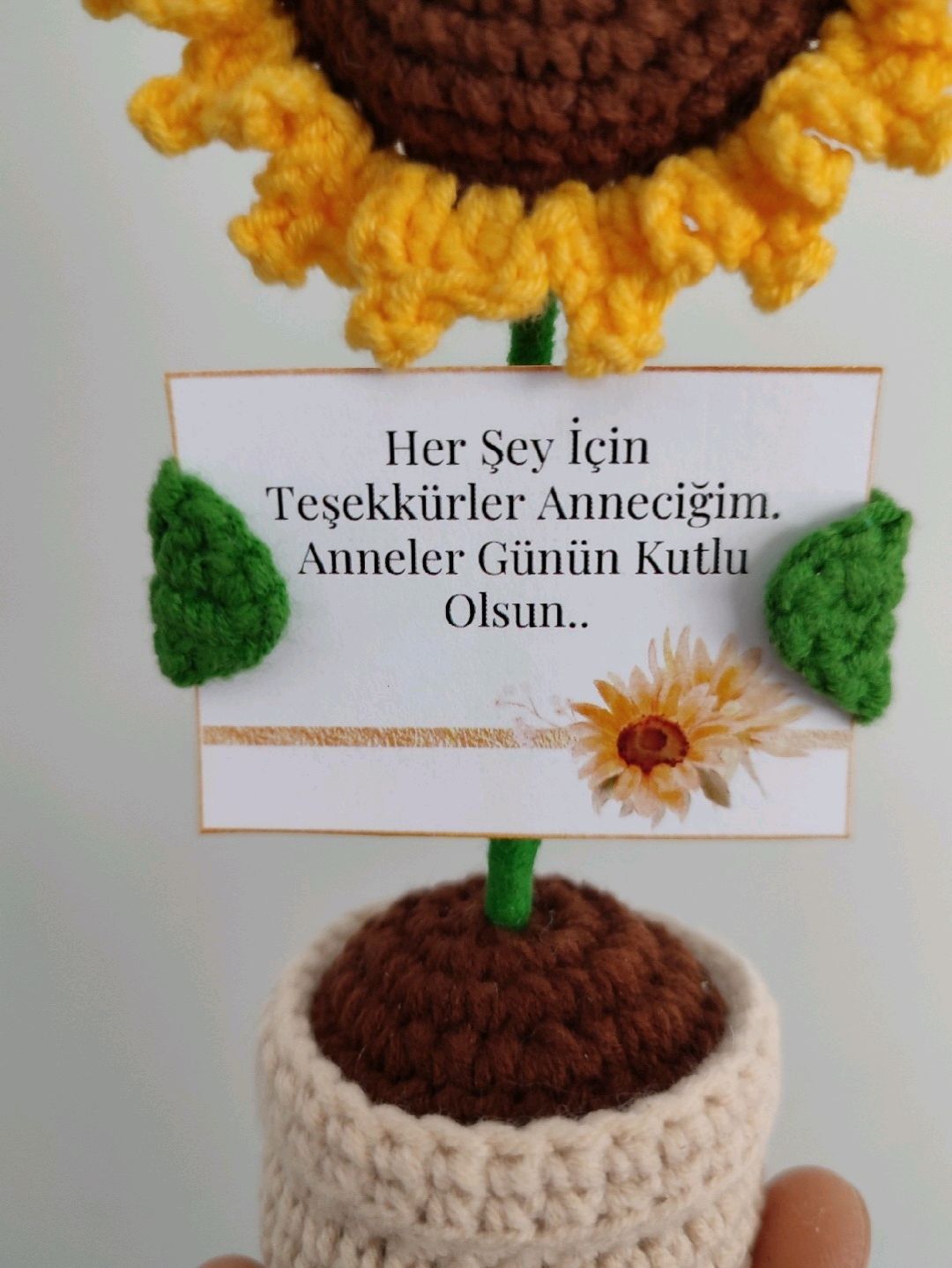 anneler-gunu-cicegi-guno-sari