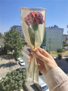 Örgü Karanfil  Mercan Kırmızısı